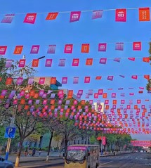 风景